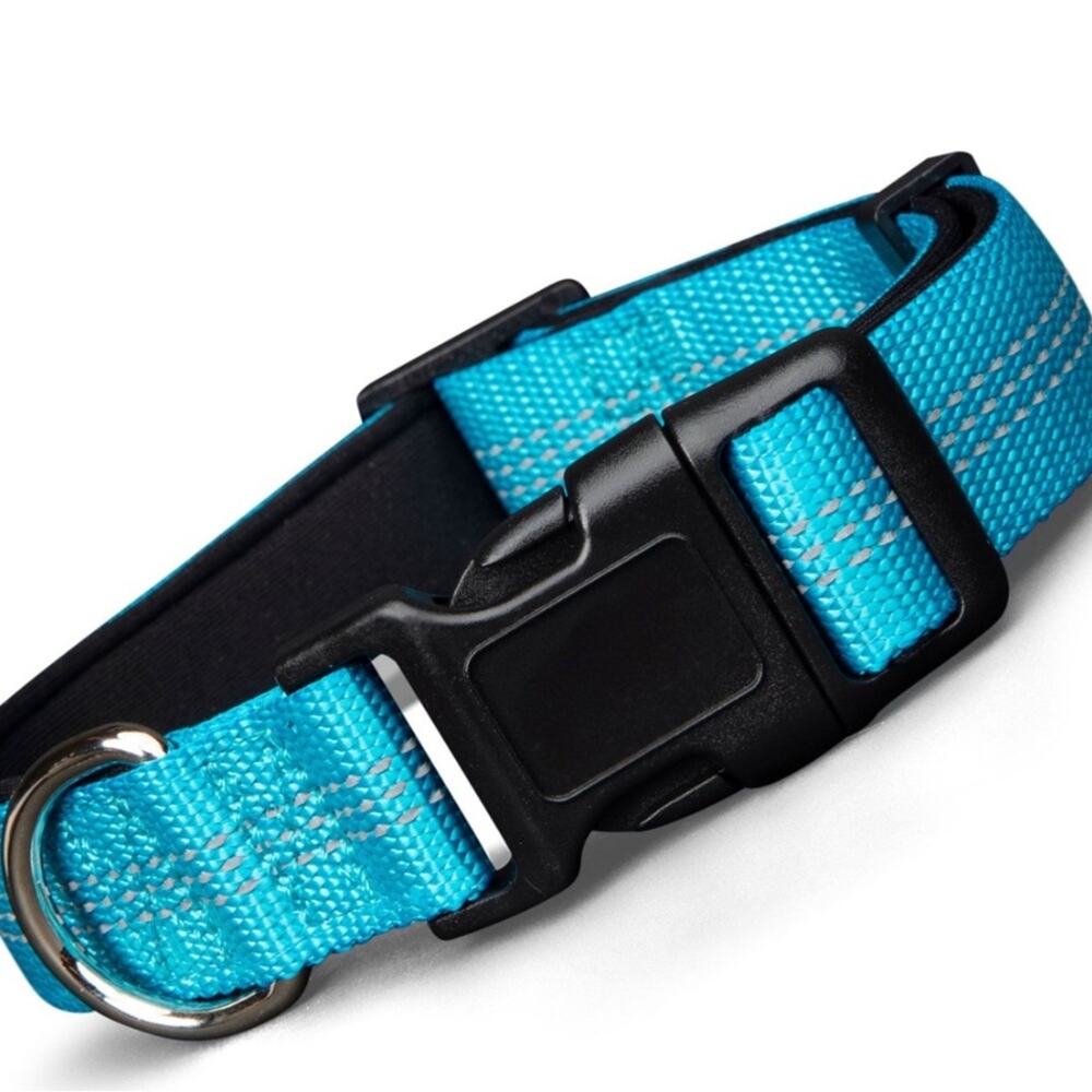 Blazin Reflective Small Dog Collar- Brilliant Blue‎